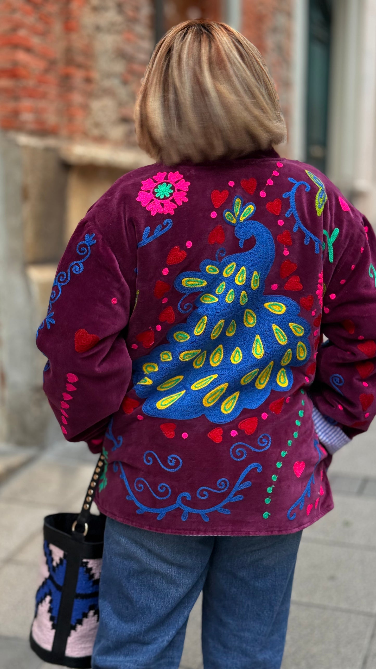 Chaqueta de terciopelo bordada Mauve