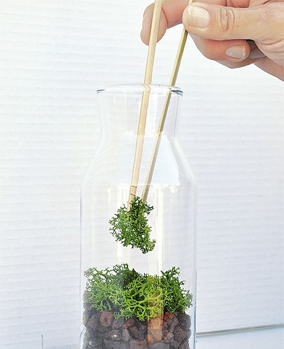 Kit TERRARIUM Vertical