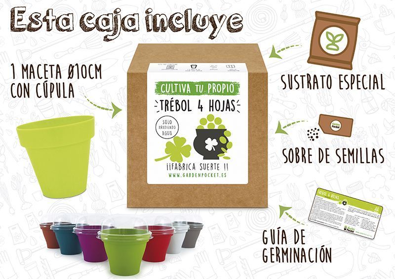 Kit trébol 4 hojas