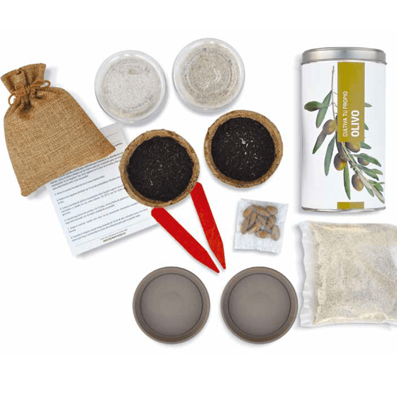 Cultiva tu propio Árbol de olivo