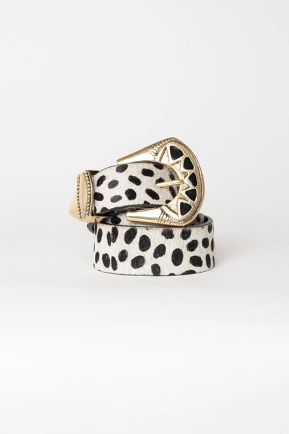 DALMATA BELT: ML