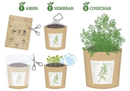 Cultivo en casa