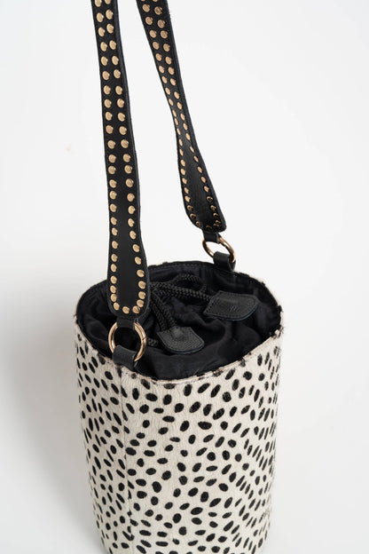 BOMBONERA AUDREY DALMATA