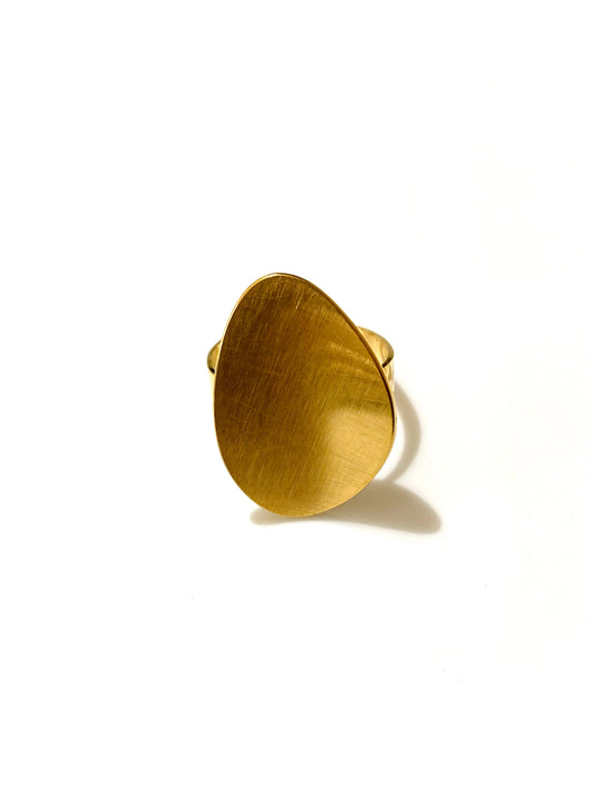 Anillo Monite de acero inoxidable