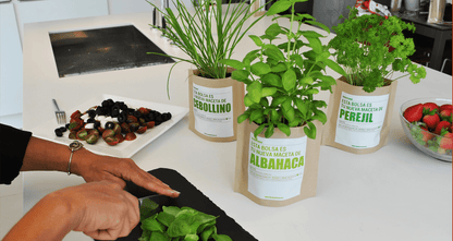 Cultivo en casa