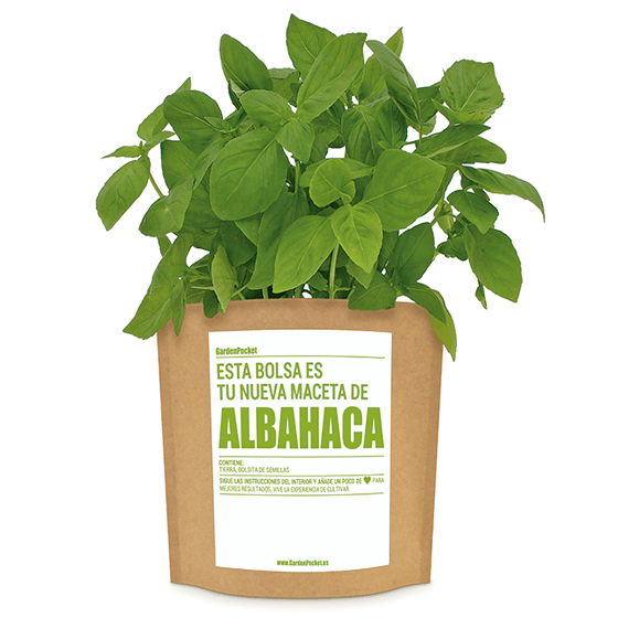 Albahaca