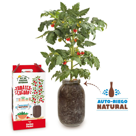 KIT INTERIOR TOMATE CHERRY