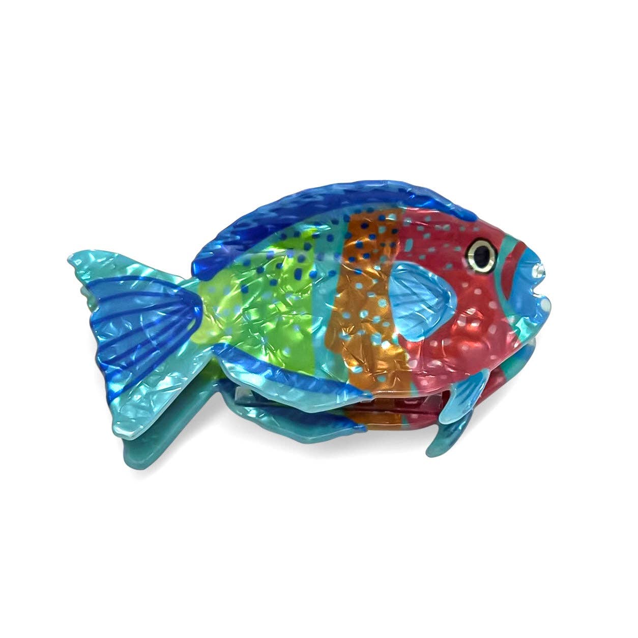 Pinza de pelo pez multicolor