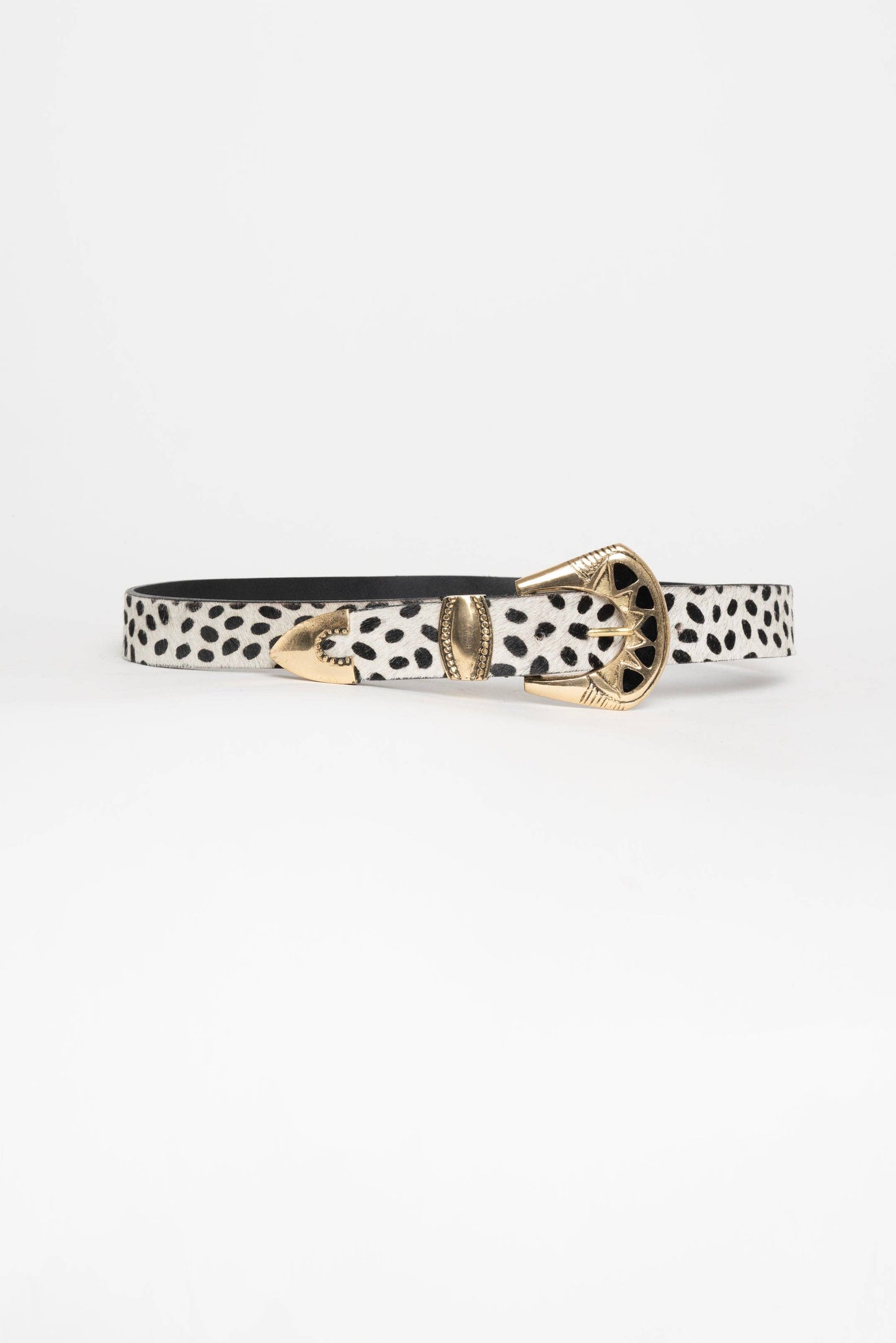 DALMATA BELT: ML
