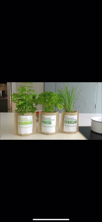 Albahaca